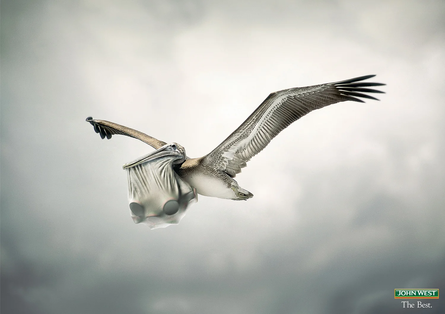 john west pelican