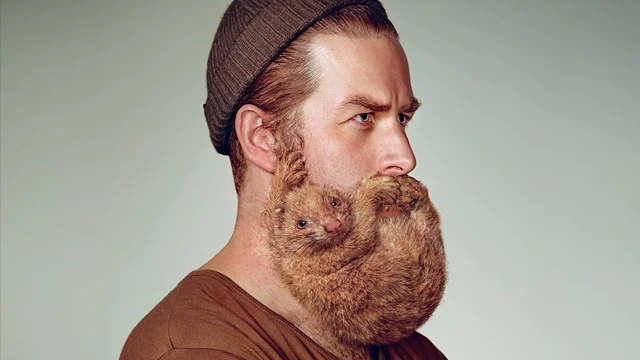 schick beards