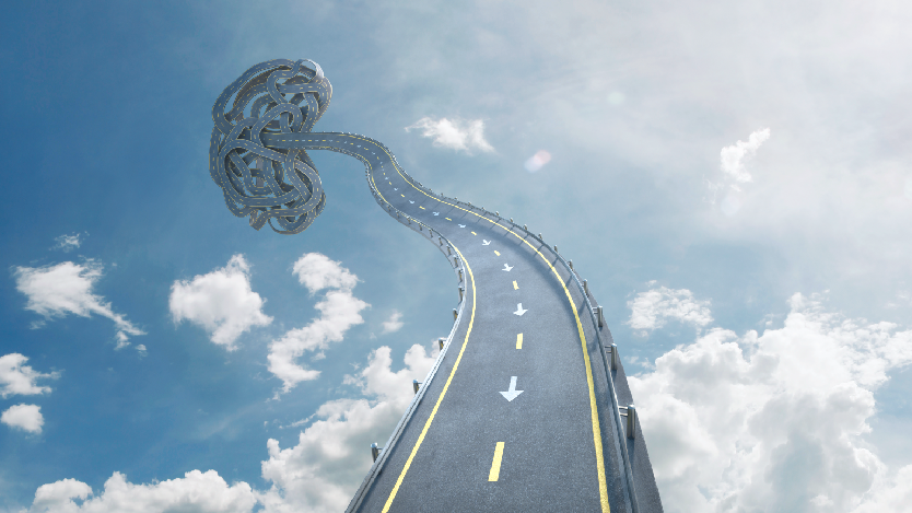 kidney highway