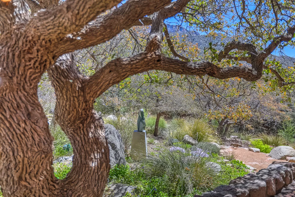 spring creek -25.jpg