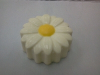 Pre-Designed Cookie Mold ($1.75/each boxed)