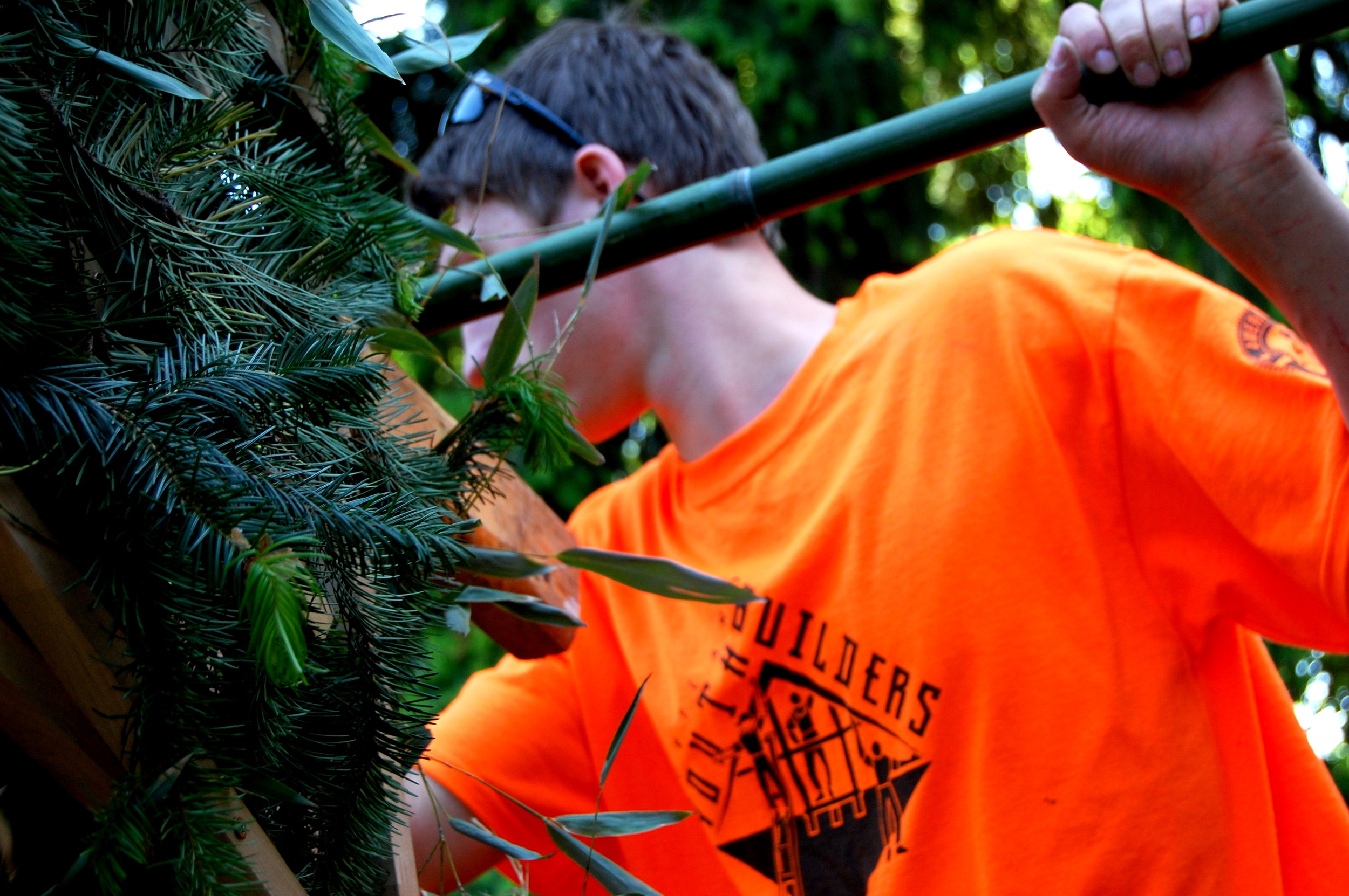 Youth Builders try Nesting