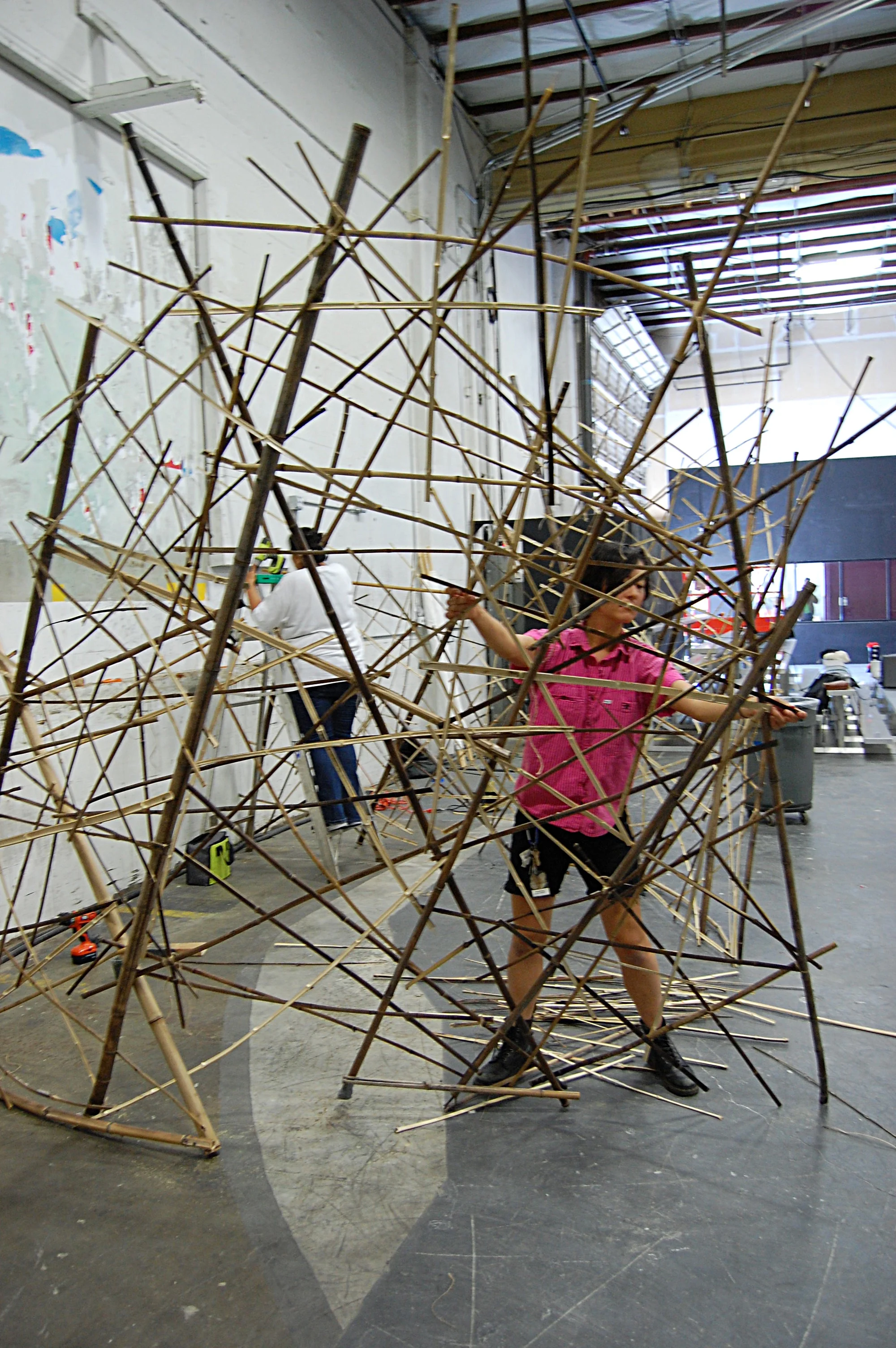 Building the nest.