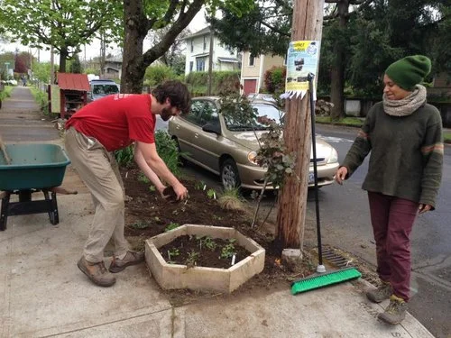 ecological+landscaping.jpg