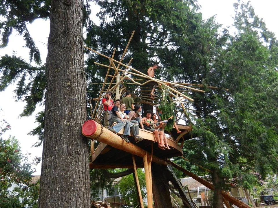 treehouse going up.jpg