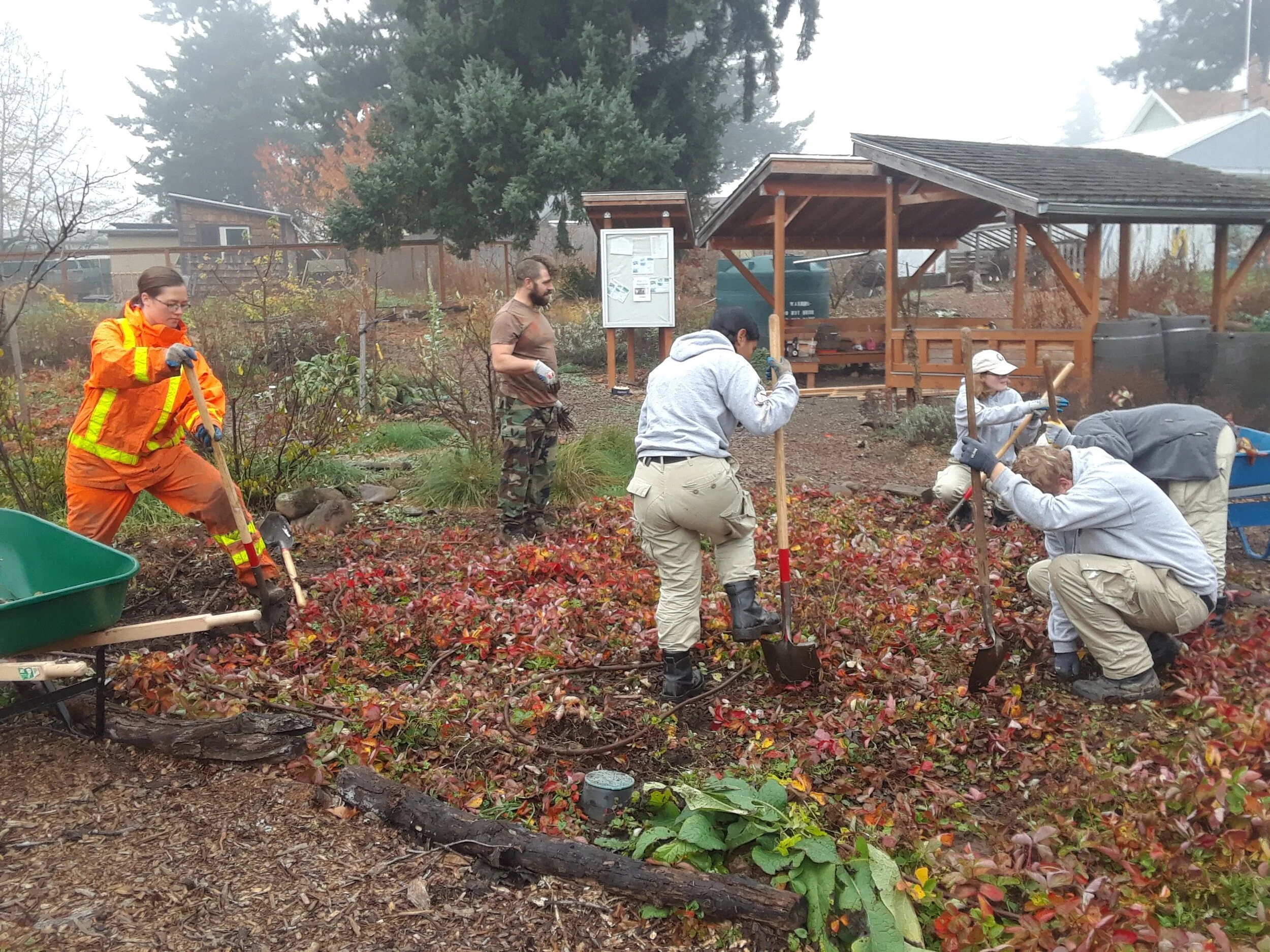 Highlights from Autumn 2019