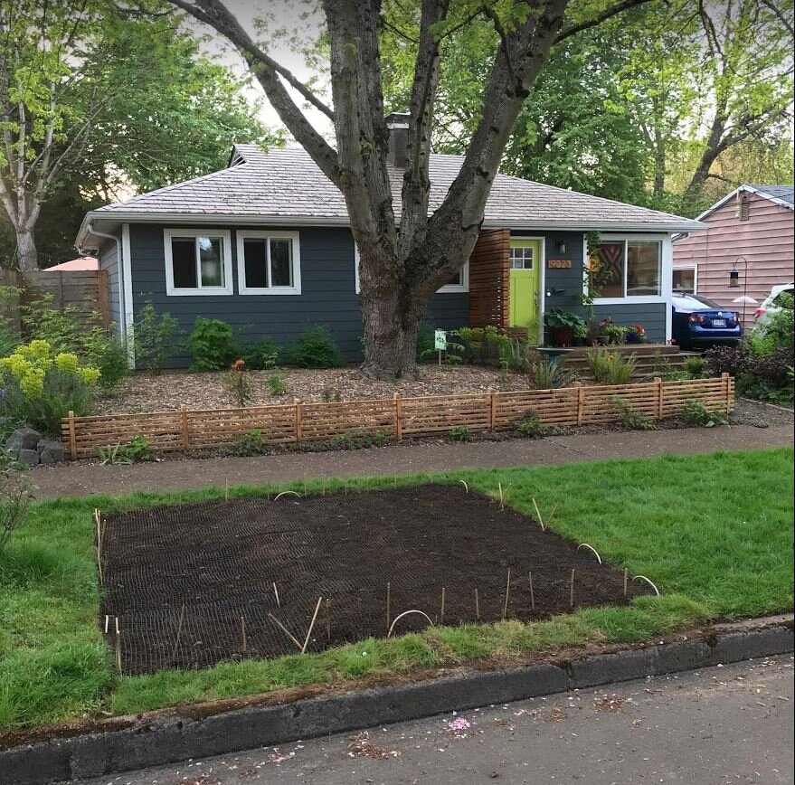 the start of a sharing garden.