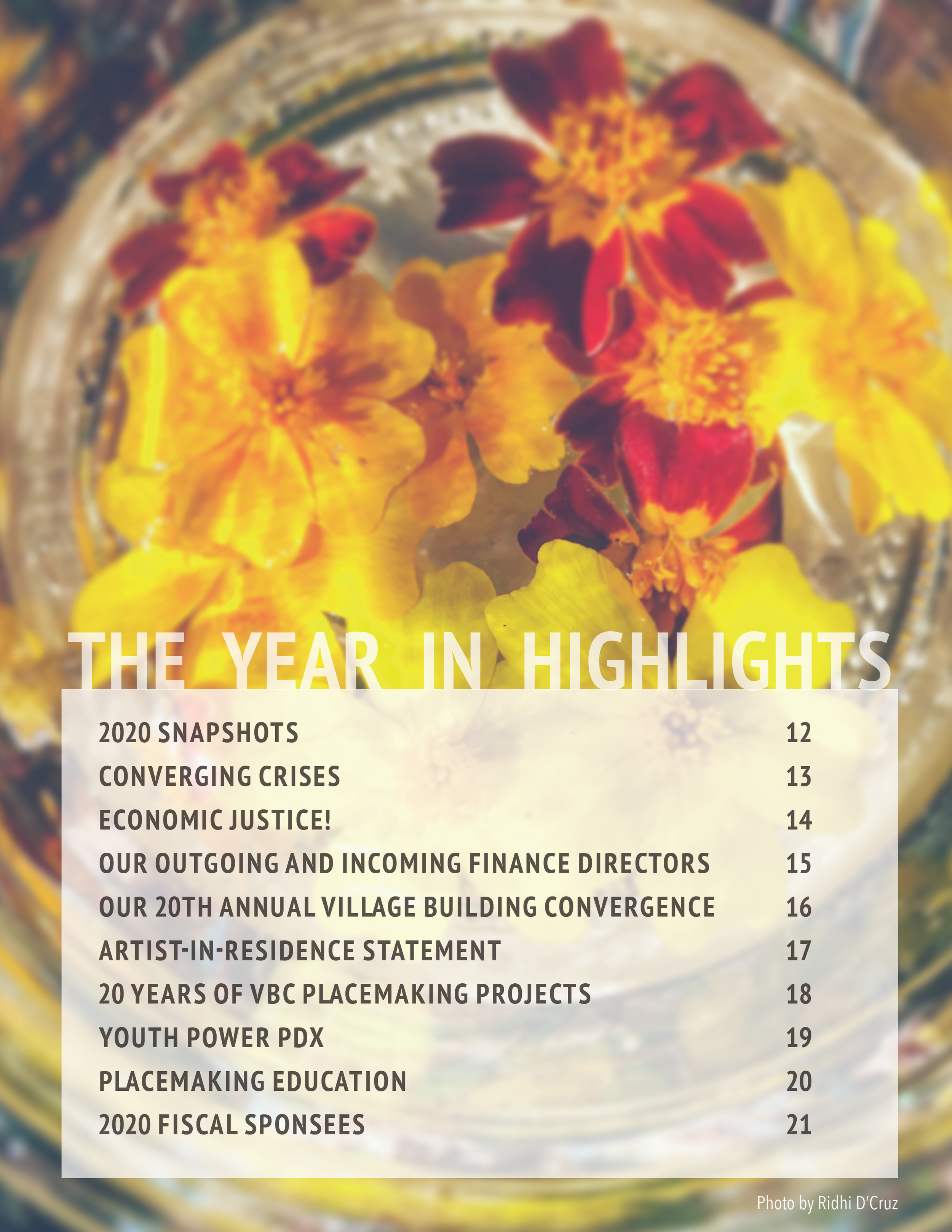annual report images for web11.png