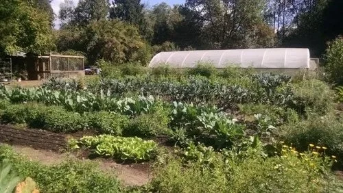 Community Spotlight: Jean’s Farm 