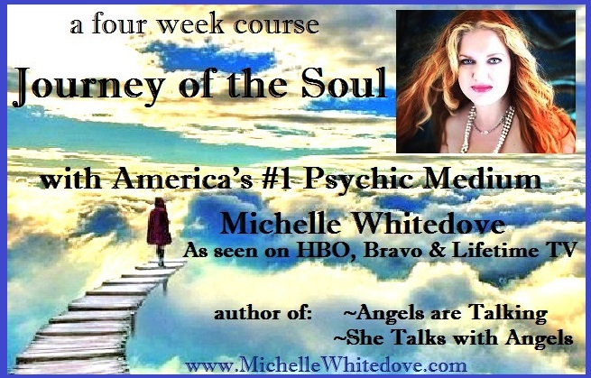 LIVE Streaming & Archived too