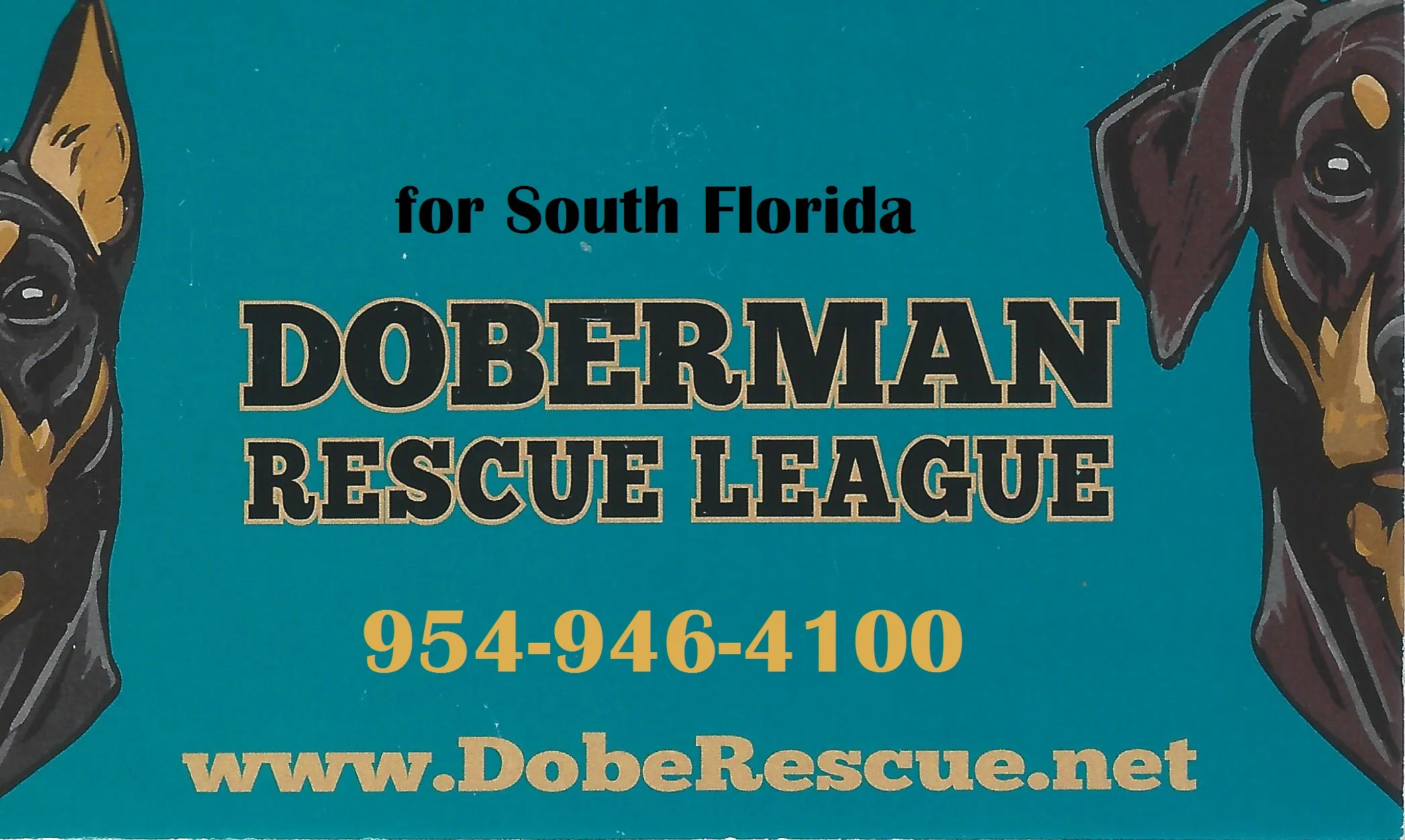website Doberman Rescue South Florida.jpg