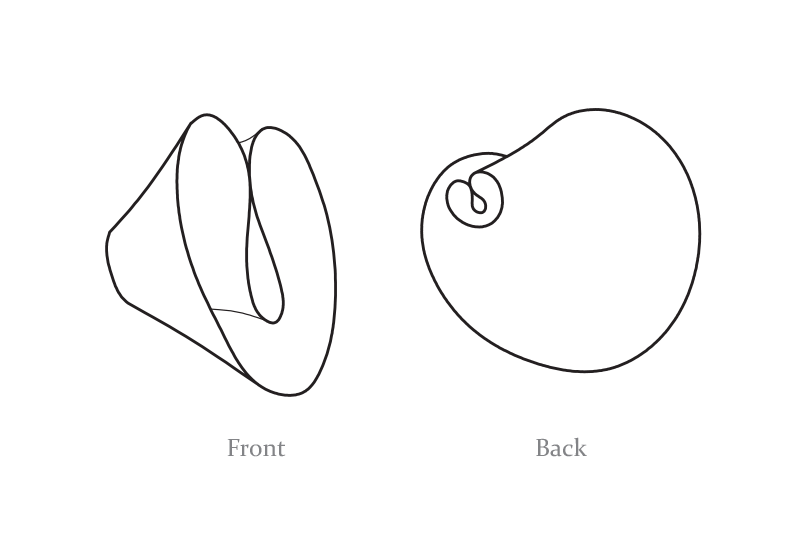 components-5.png