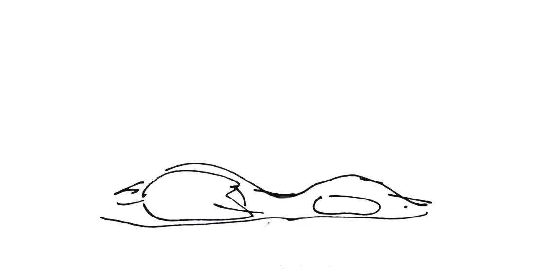 sketch1c.jpg