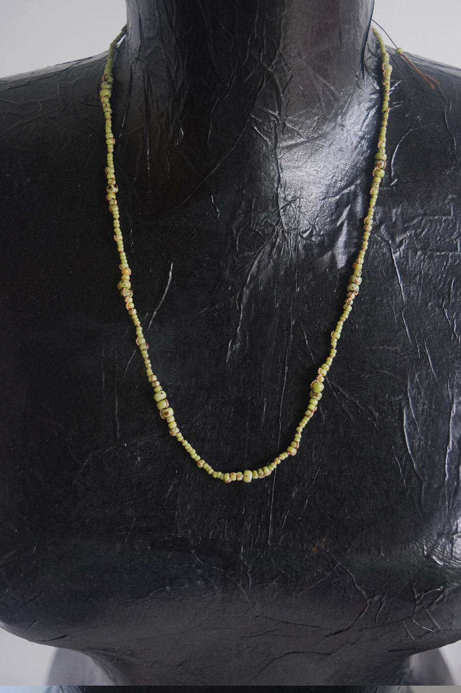 fern 10.jpg