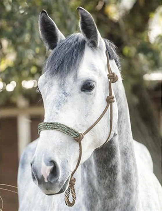Halter_torquoise.jpg