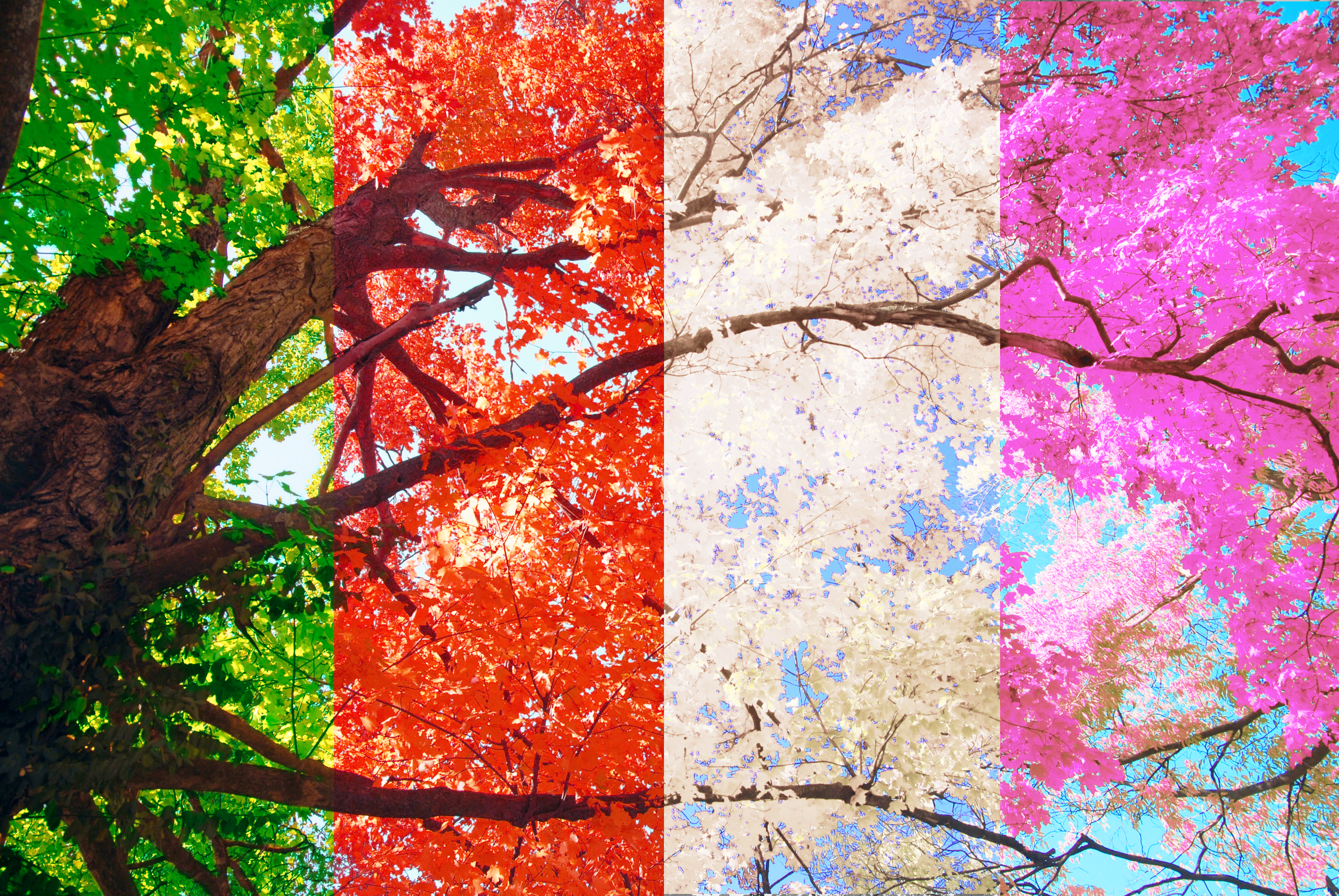Seasons in the Light of Ayurveda