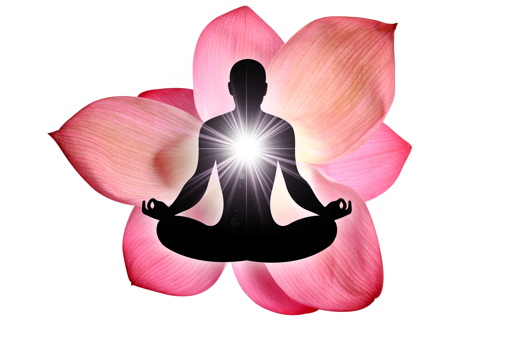 WellnessYoga3.HeidiNordlund.jpg