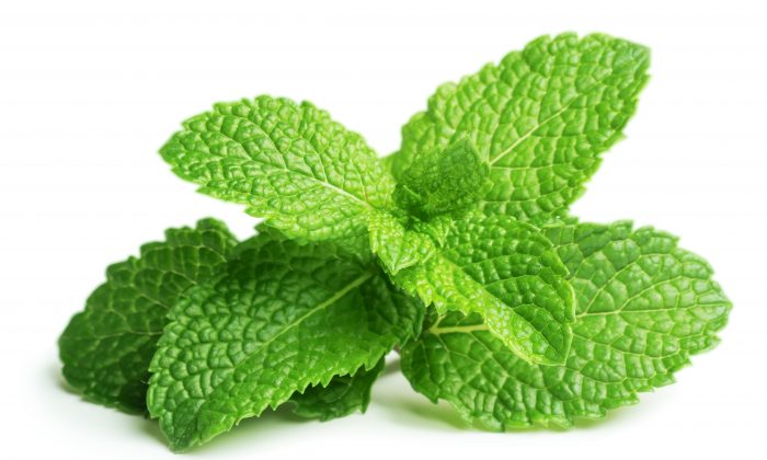 Mint - A Powerful Home Remedy