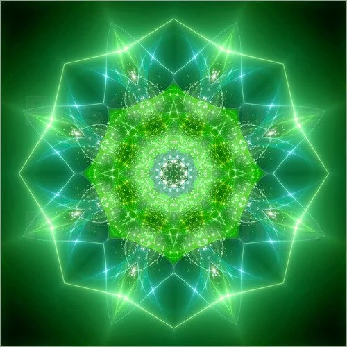 Why it is Important to Raise Vibration