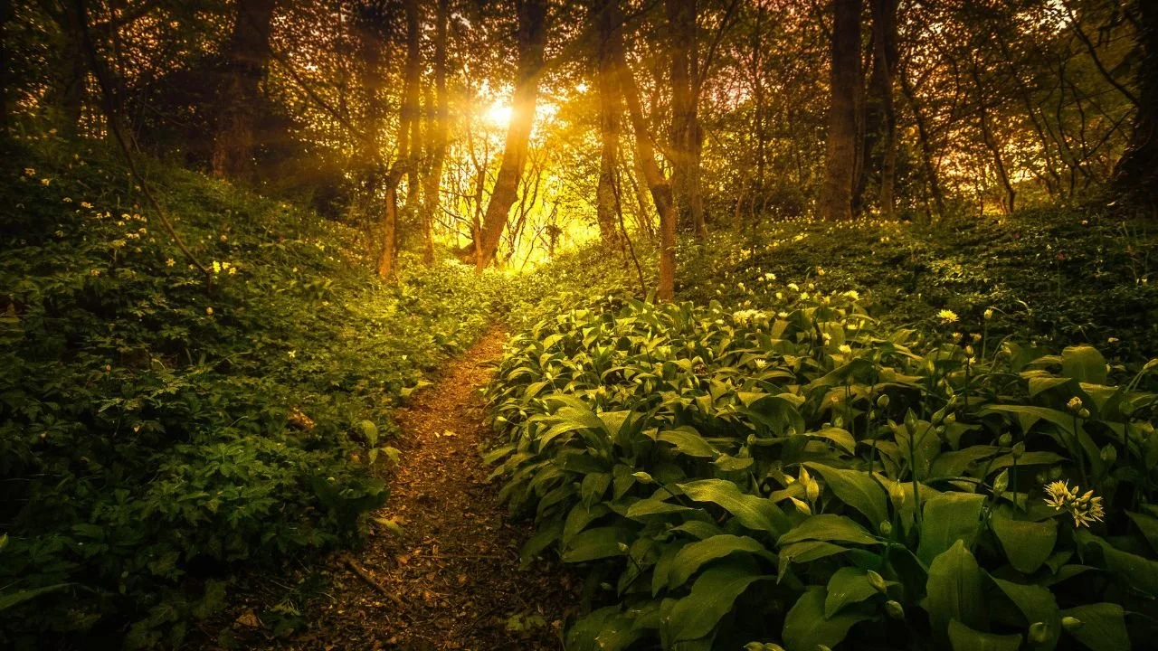 Grounding Techniques for Highly Sensitive &amp; Intuitive People