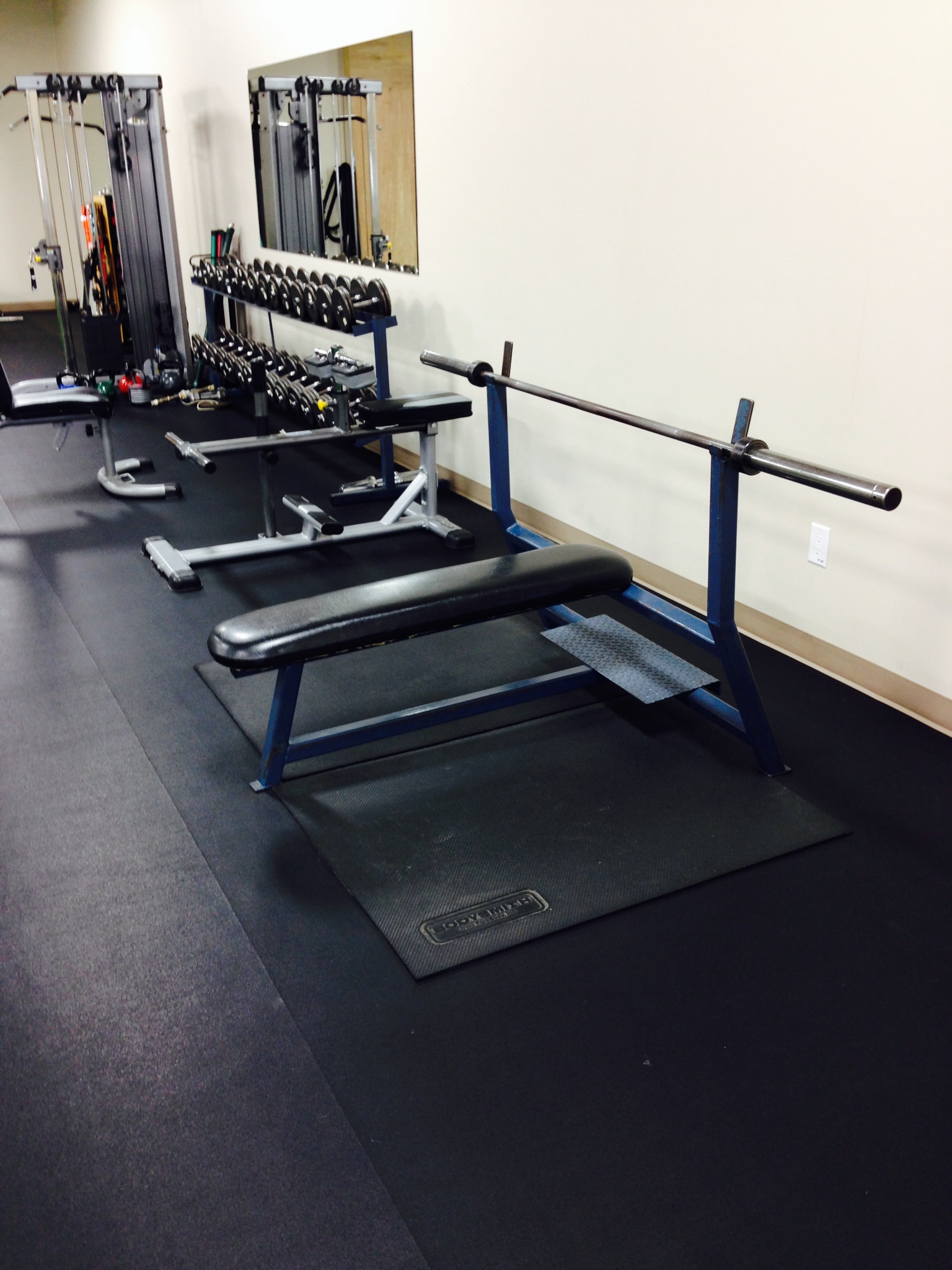 Bench Press.jpeg