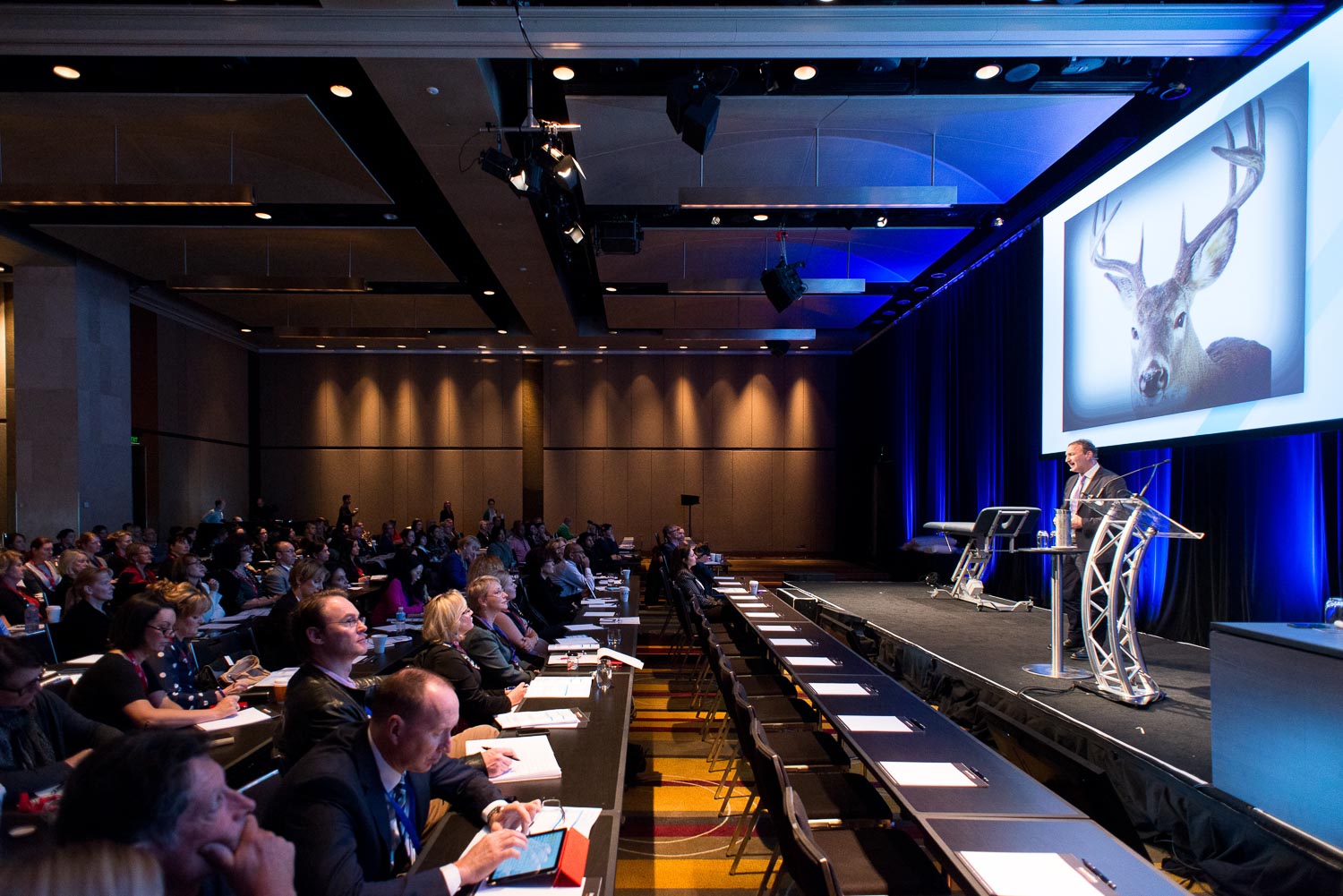 Francesco Vicenzi, Events Photographer Melbourne