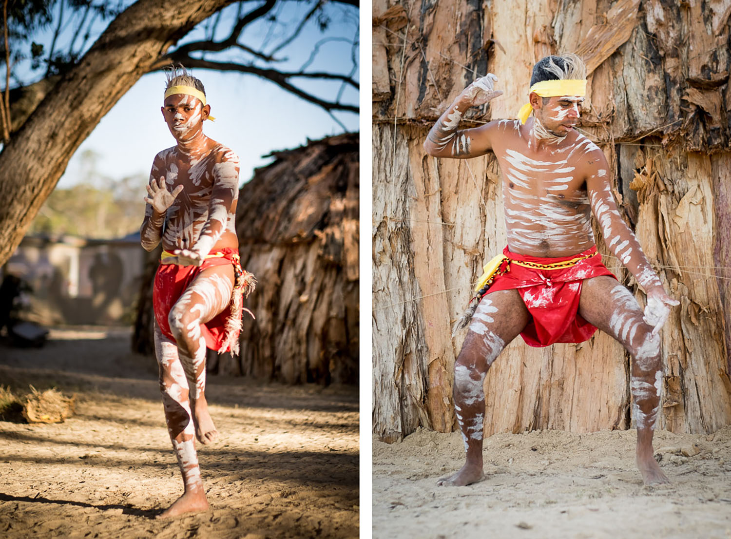 Rainbow Serpent 2015 Vicenzi 035.jpg