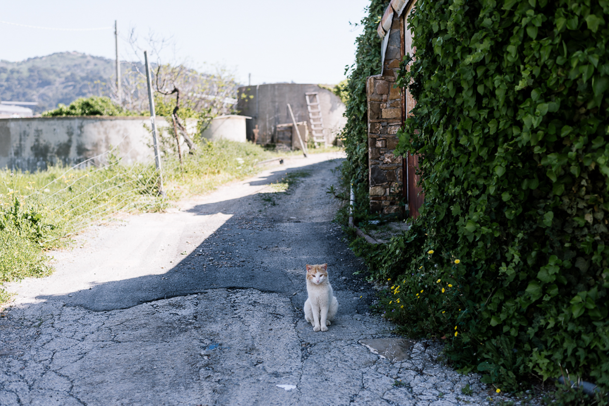 Framy_390_DSC4871.jpg