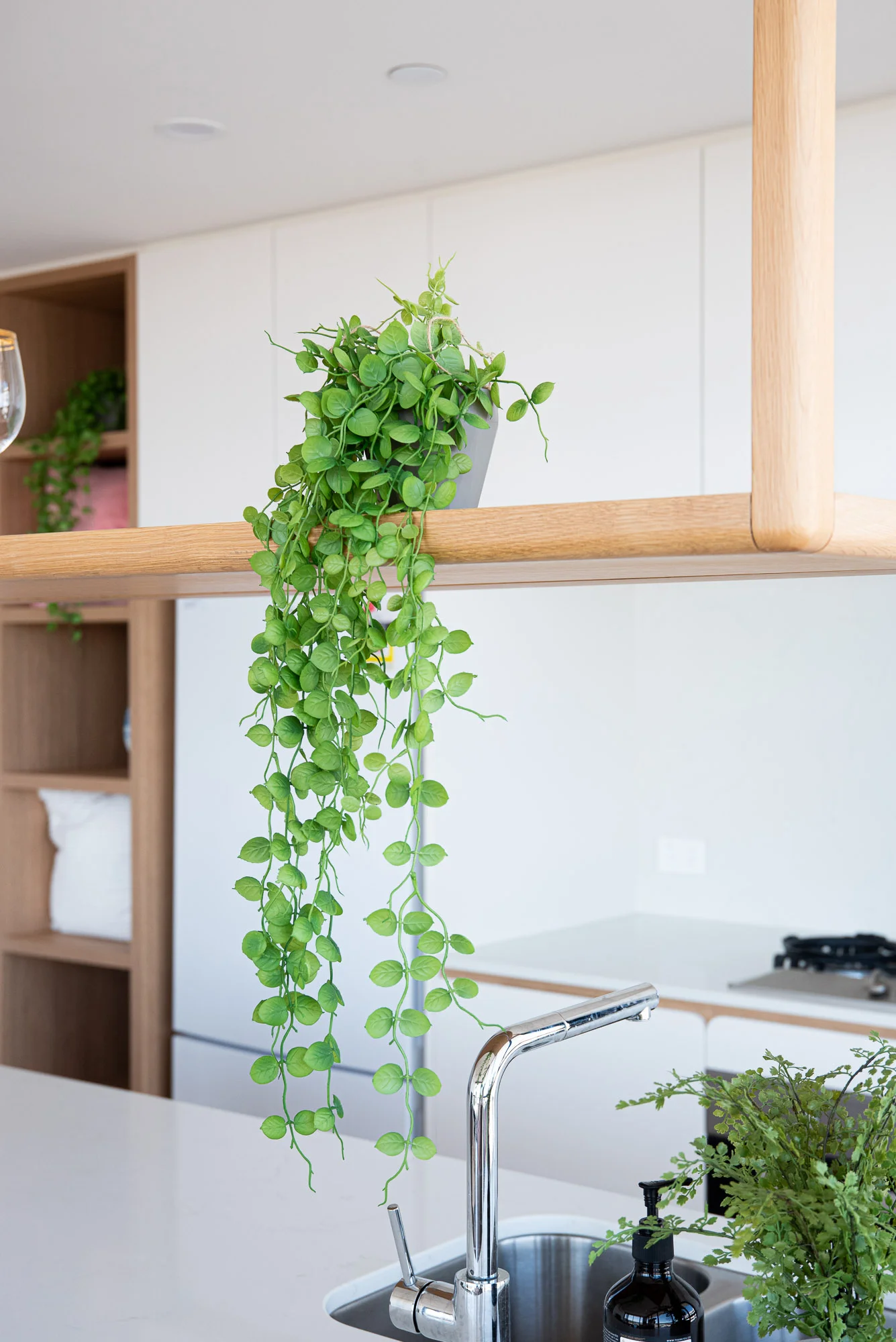 Organic Photo Melbourne, Airbnb Photography