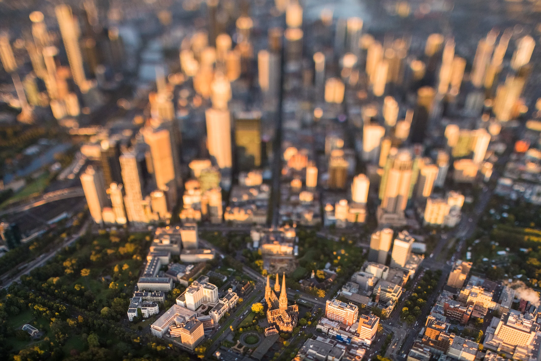 Organic Photo Melbourne1.jpg