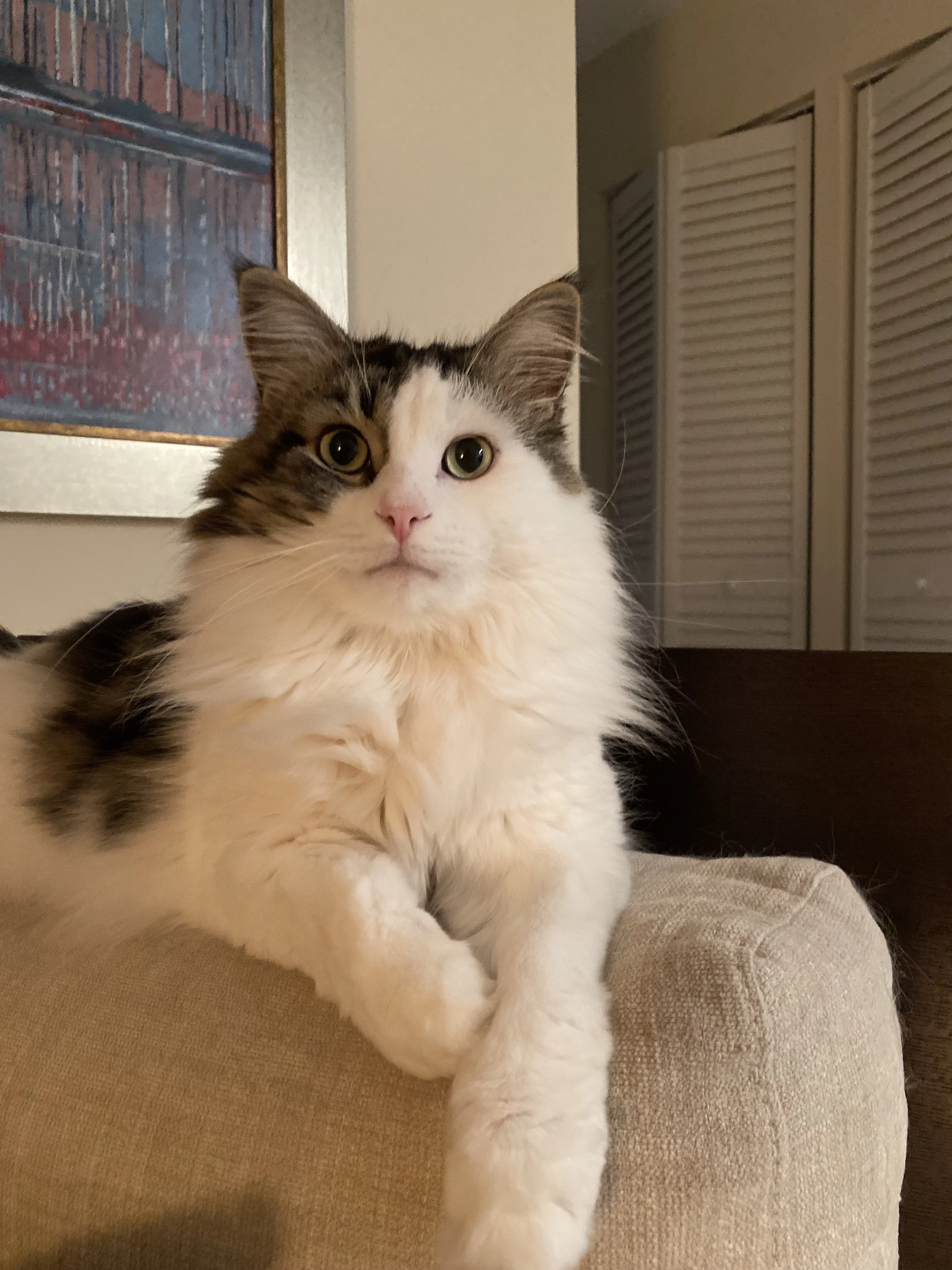 prince