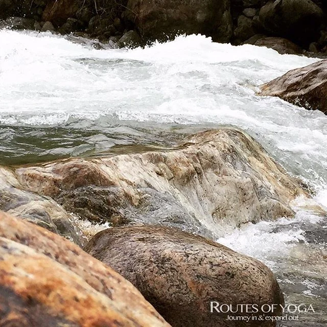 🌊🌊🌊
.
‘Water does not resist. Water flows. When you plunge your hand into it, all you feel is a caress. Water is not a solid wall, it will not stop you. But water always goes where it wants to go and nothing in the end can stand against it. Water is patient. Dripping water wears away a stone. Remember that, my child. Remember you are half water. If you can’t go through an obstacle, go around it. Water does.’
.
- Margaret Atwood
.
#elementalyoga #naturespeaks #fiveelements #water
