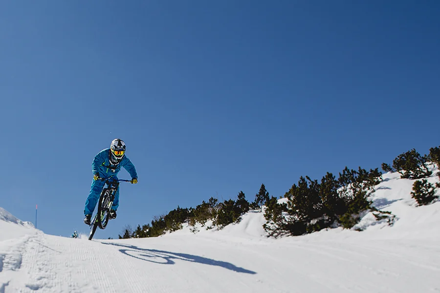 RTM-Bikepark-Vogel0485.jpg