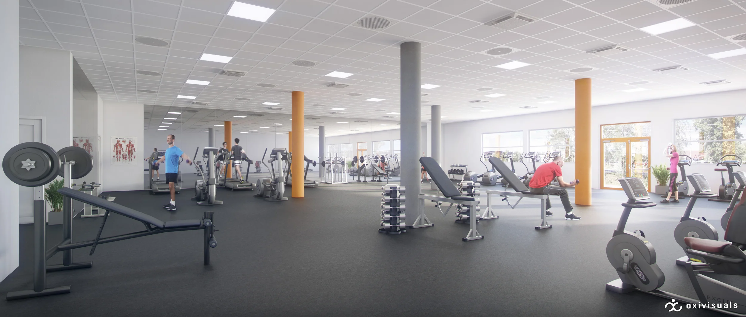 MYRER_SKOG_GYM_FINAL.jpg