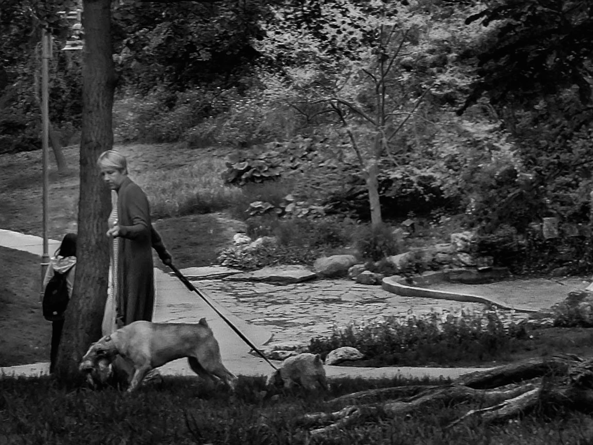 DSCF4805-1-2 copy 2.JPG