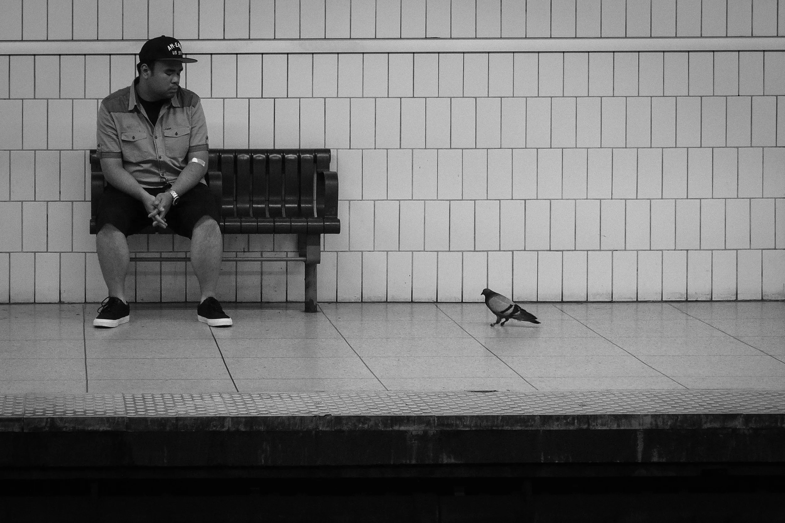 The Little Passenger...JPG