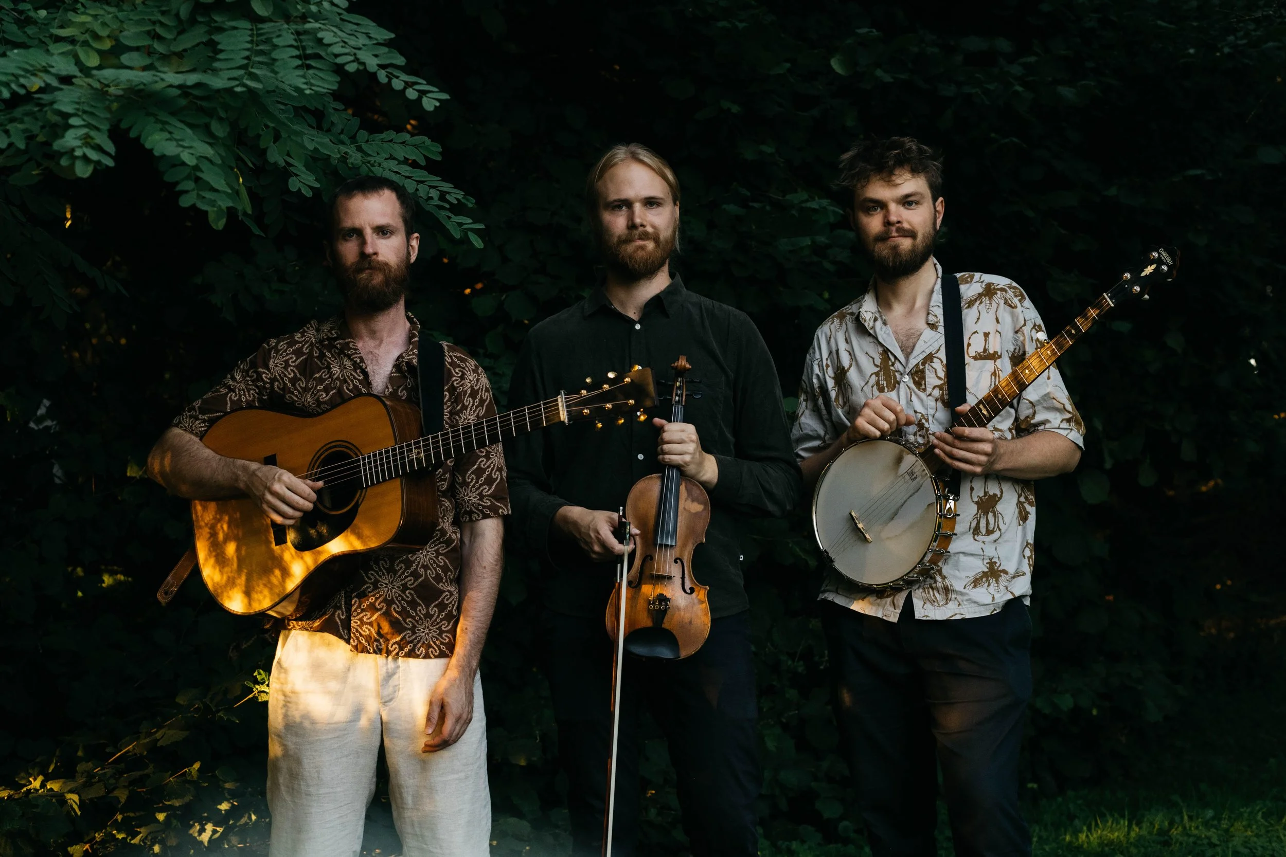 new valley string band.jpg
