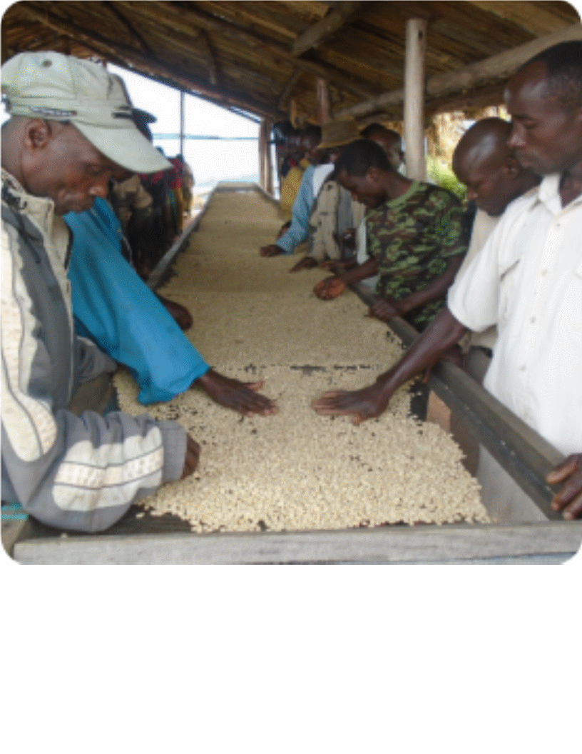Burundi guys.gif