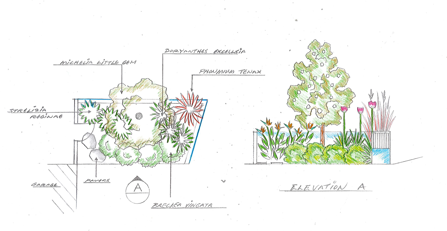 landscape_design