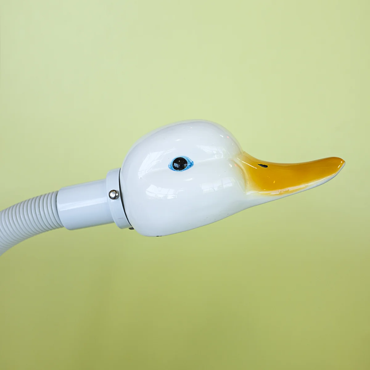 goose1.jpg