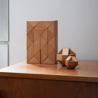 SNAKE-BLOCKS-NATUR-3D-HOLZ-PUZZLE-von-Clara-v-Zweigbergk-fuer-Areaware.jpg