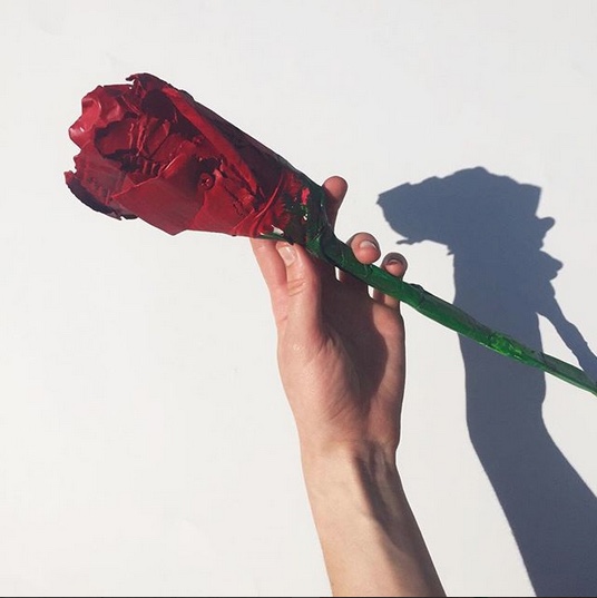 rose.jpeg