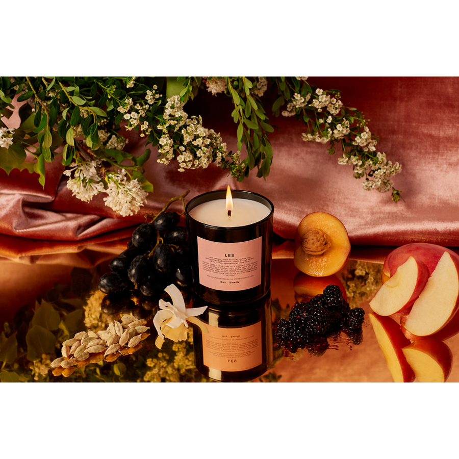 BoySmells_Editorial_Les_SLide_SHow_900x.png