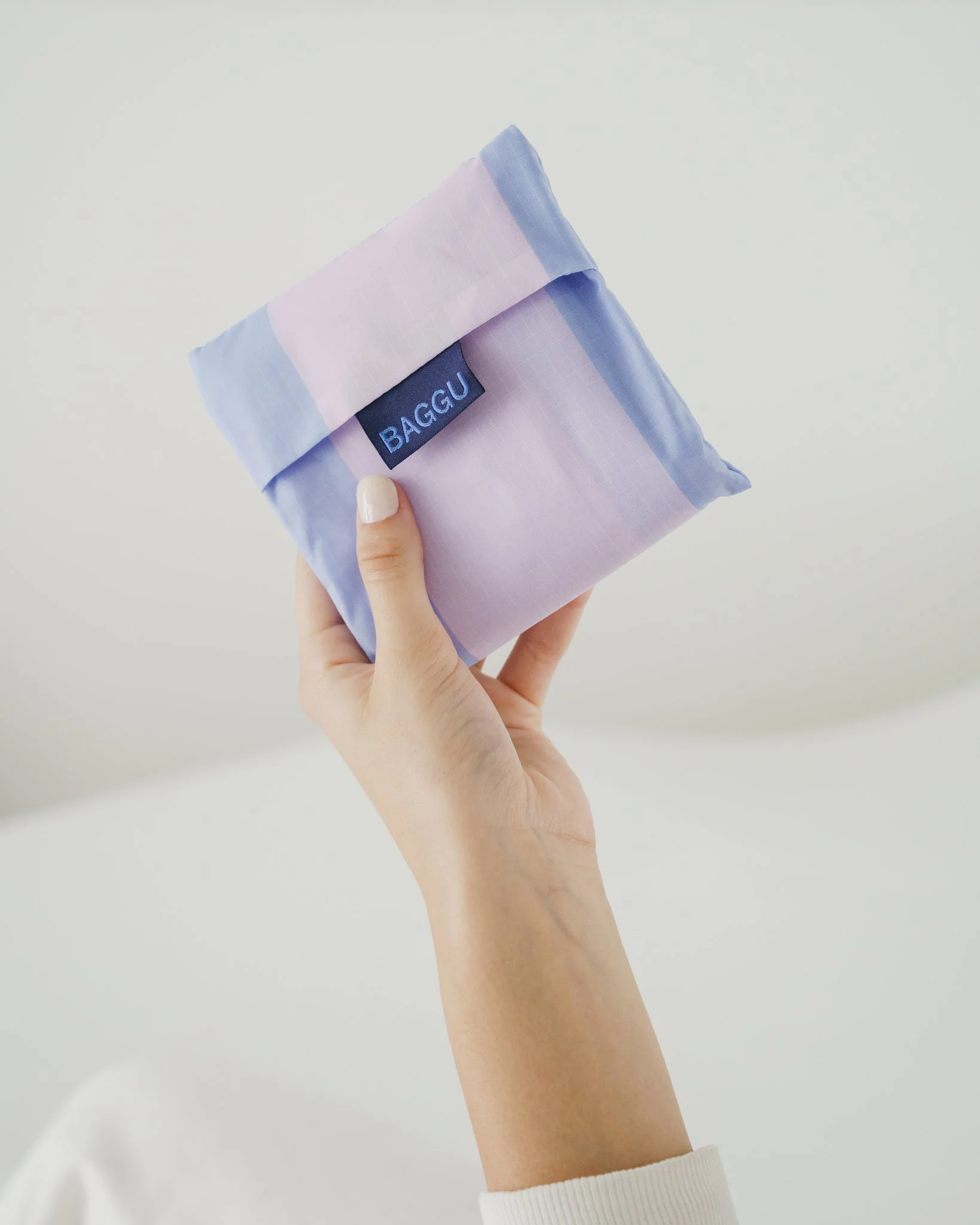 Standard_Baggu_Ripstop_Cornflower_Stripe-05_2048x2048.jpg