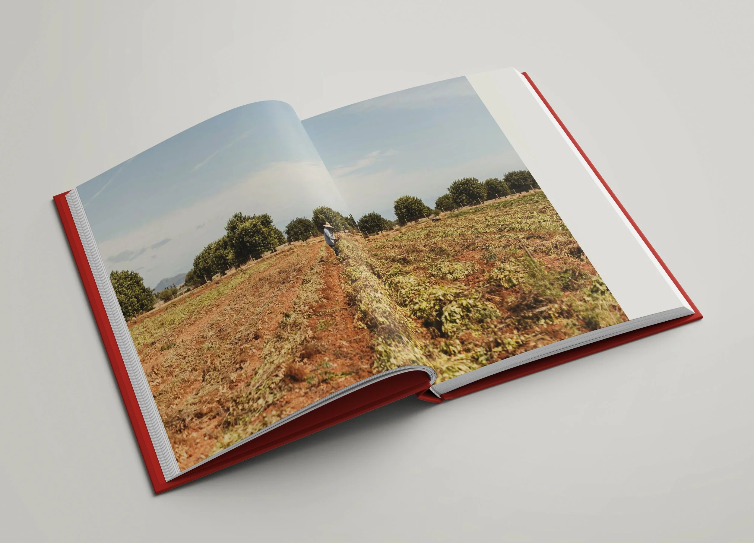 Book_Mockup_04.jpg