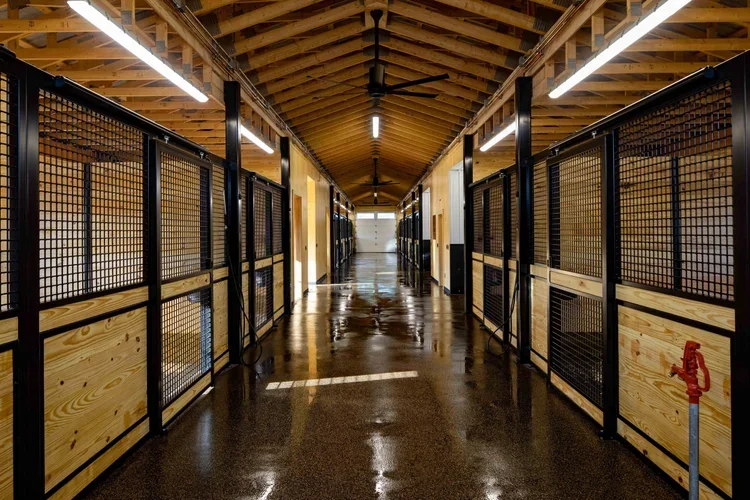 Madd Horse Barn