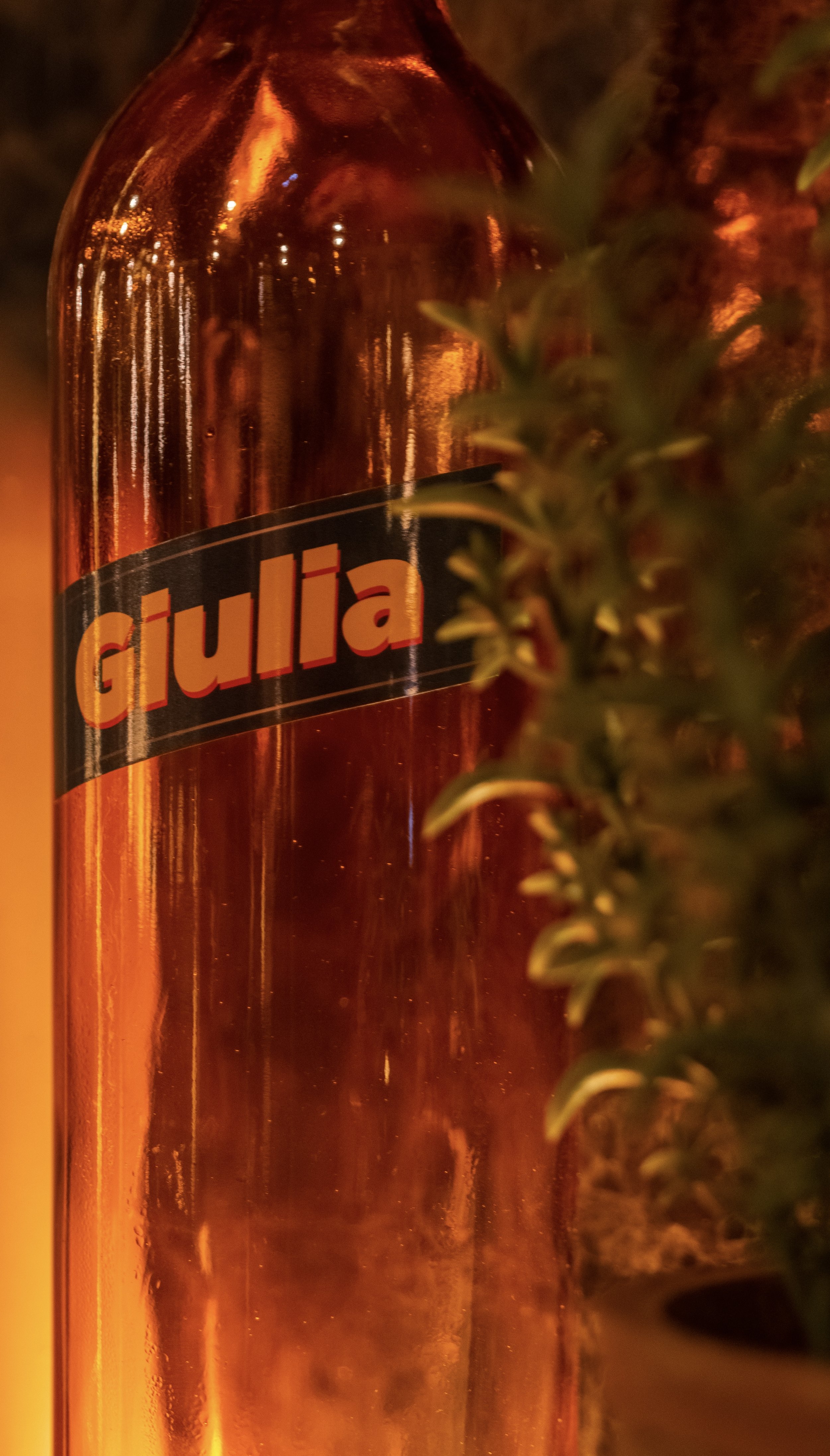 2023-03-31 11-52-56.jpeg