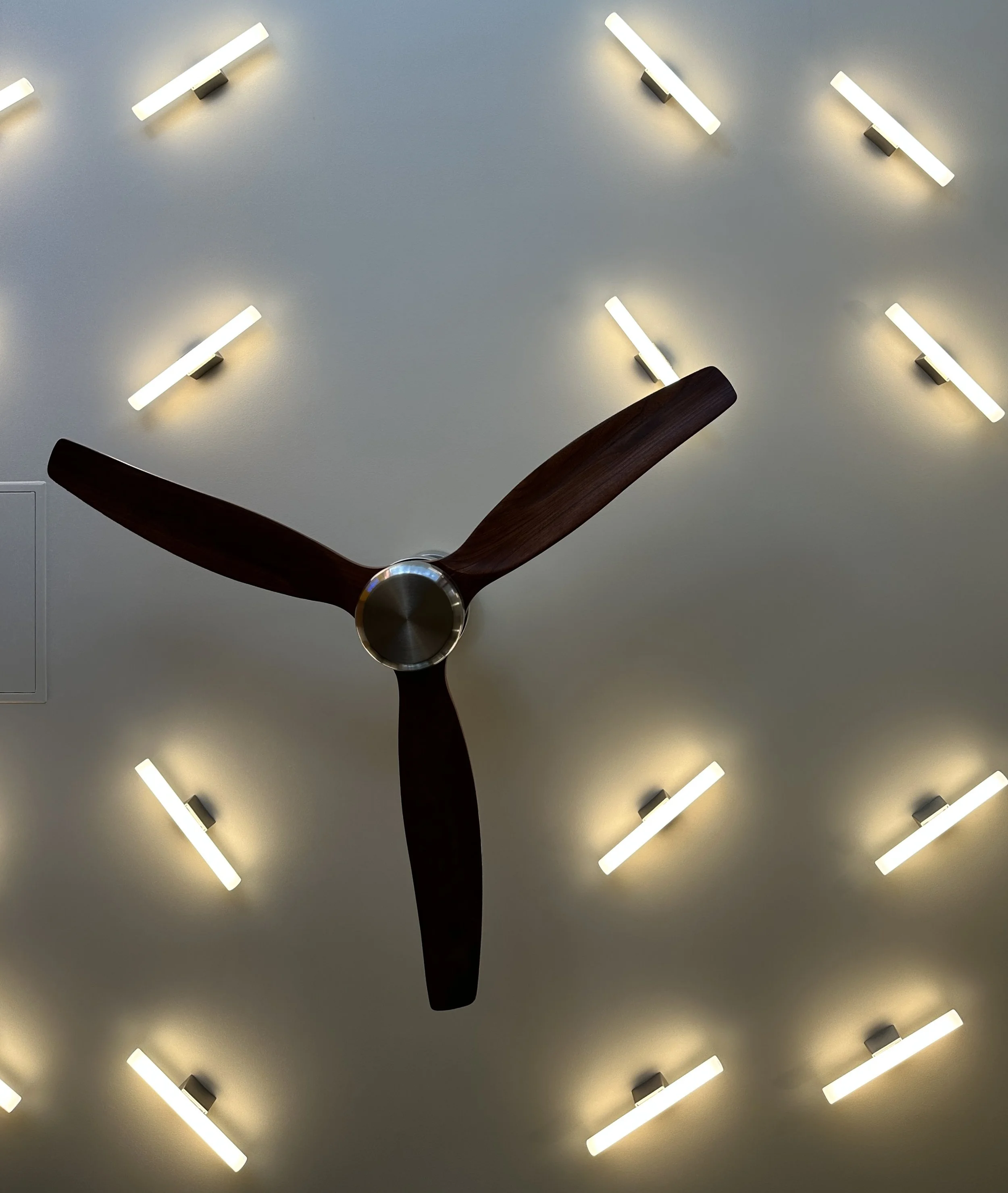 2023-07-26 11-24-54.jpeg