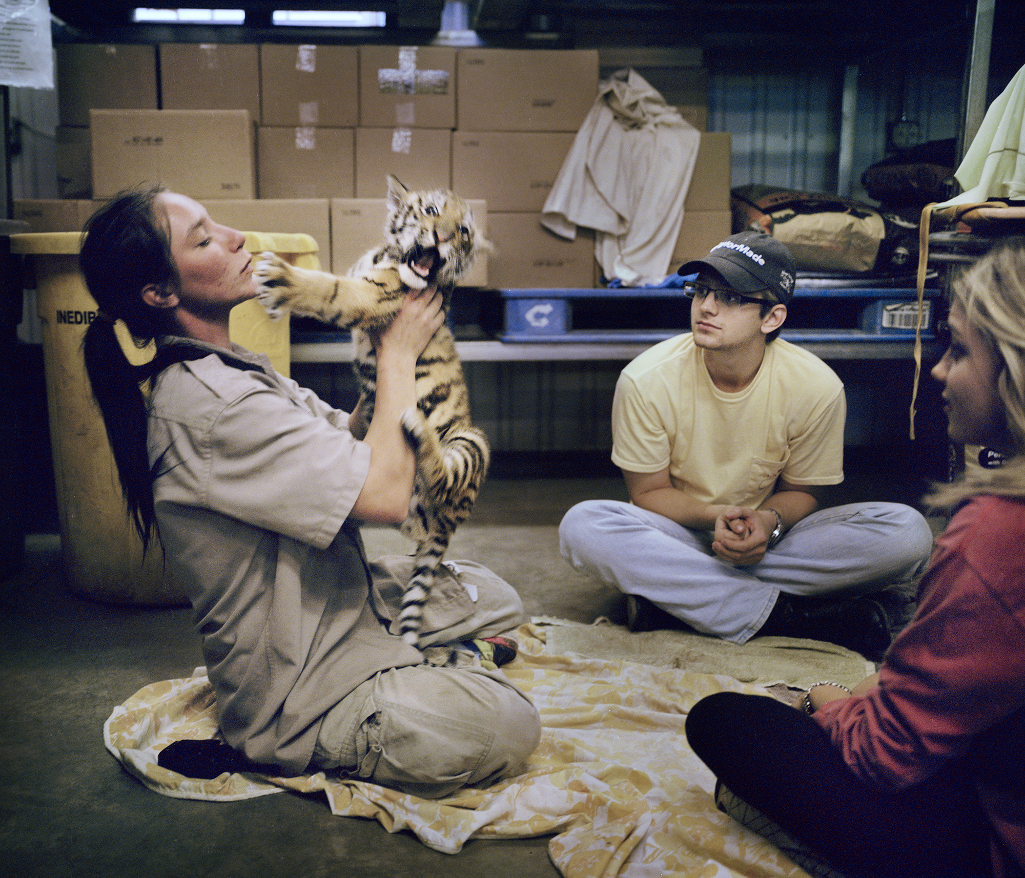 JL_tiger03.jpg
