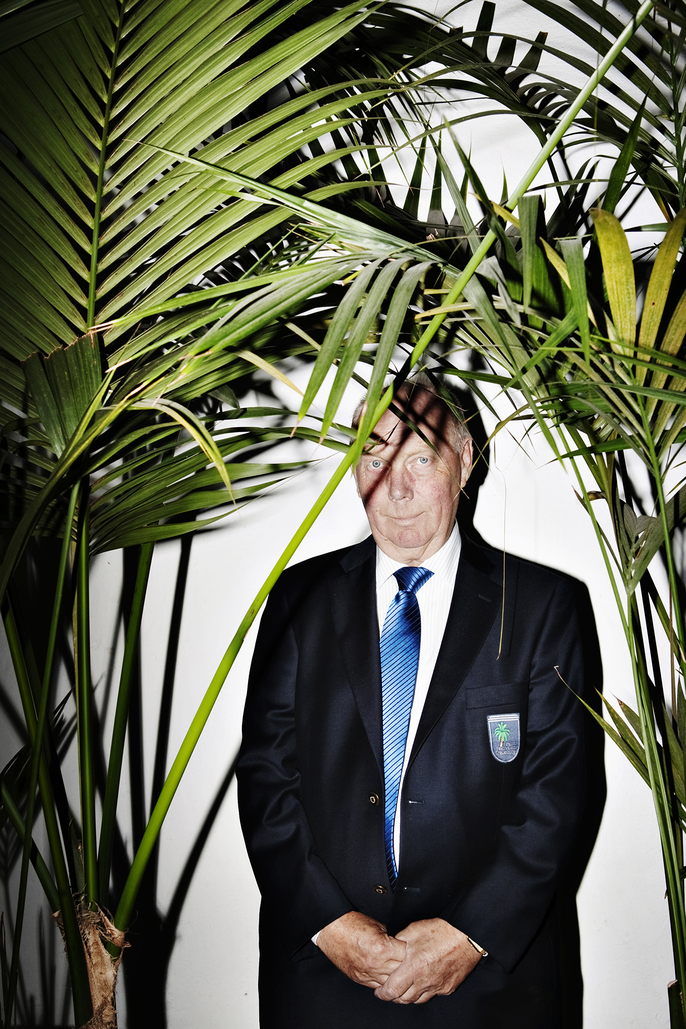 Roland Hassel, Palmtree festival